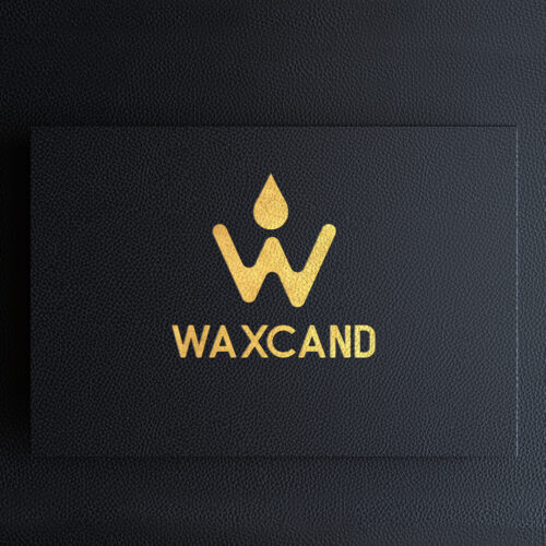 Leather_texture-12323